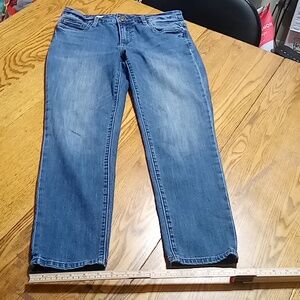 KUT FROM THE KLOTH Jeans Womens 4 KATY ANKLE STRAIGHT LEG Used Denim